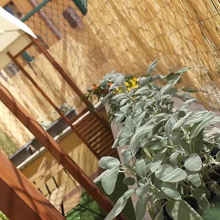 Bed & Breakfast Candia Green House B&B